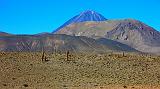 CILE - Sulla strada per San Pedro de Acatama - 10